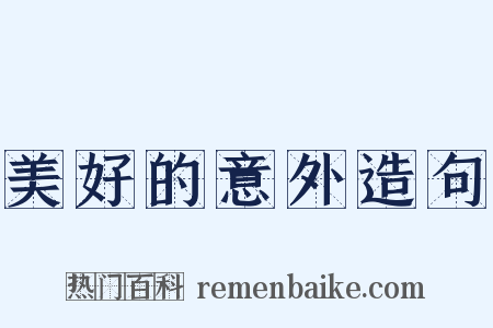 美好的意外造句是什么意思的图片